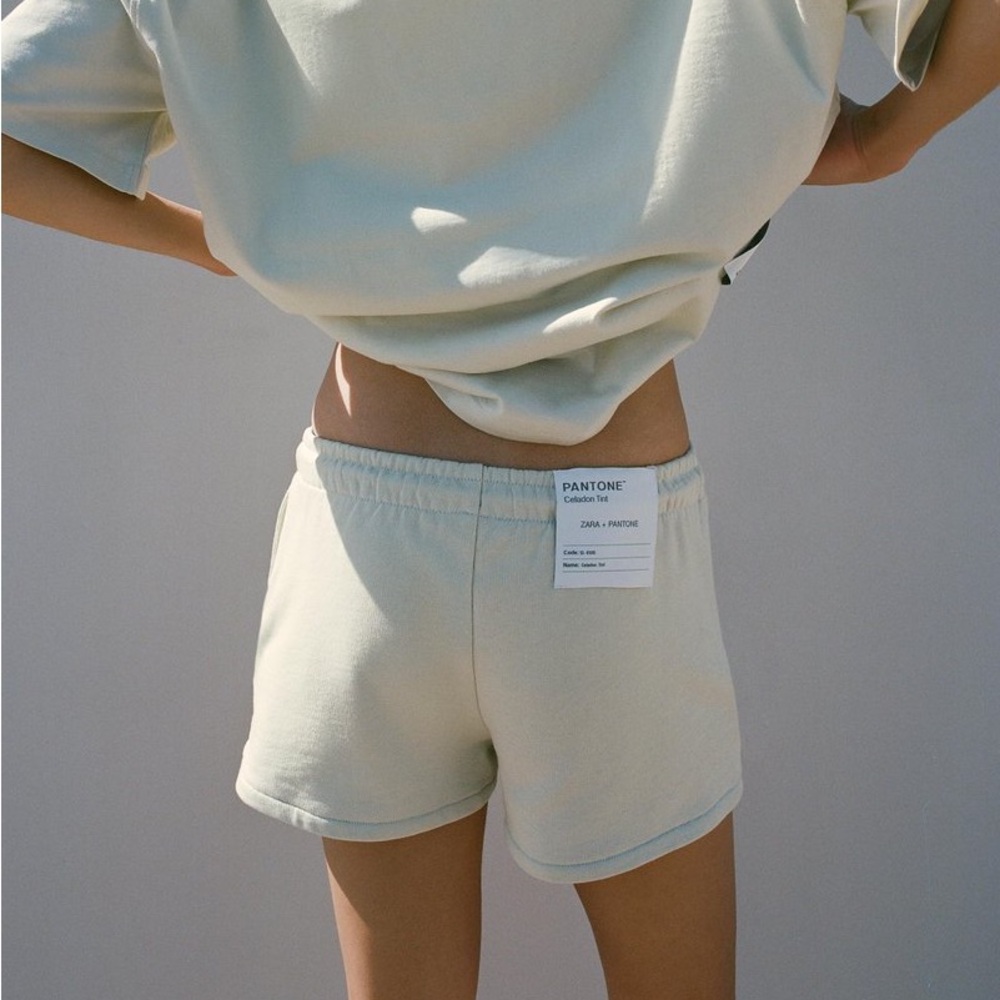 Zara x Pantone Light Gray Shorts | size Small - S